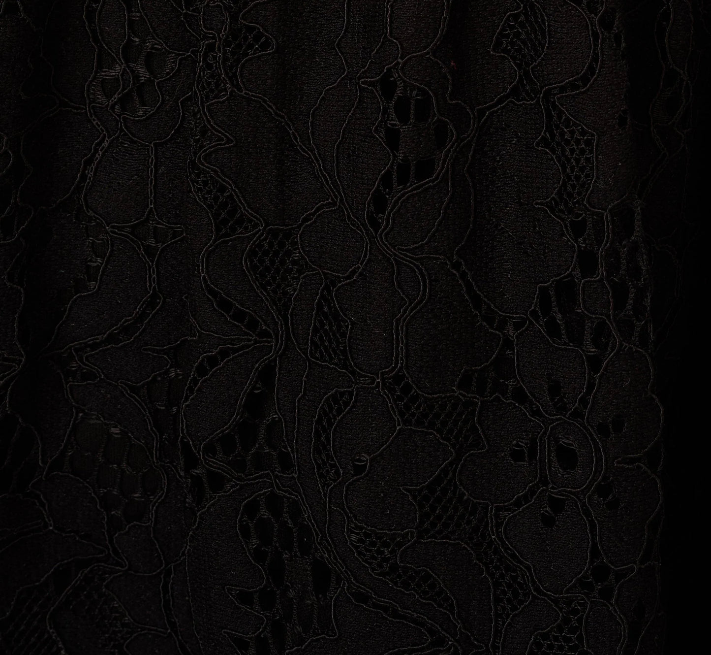 Sleeveless Collared Lace Fit And Flare Dress In Black
