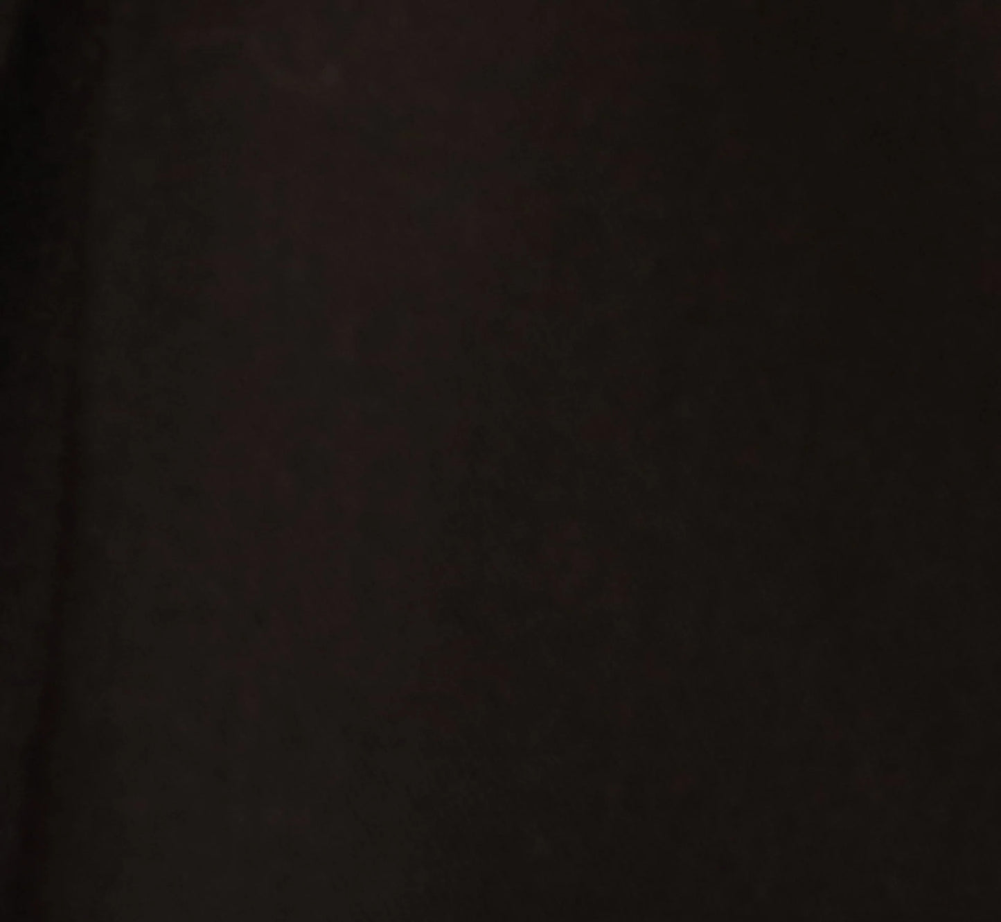 Wide Leg Pleated Trouser In Black