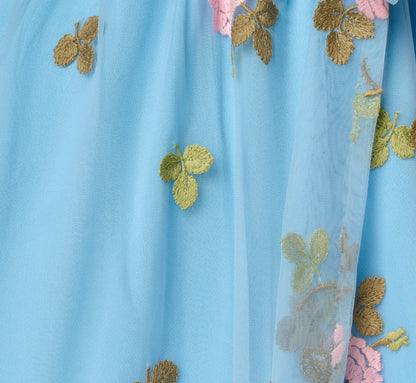 Floral Embroidered Maxi Dress With Sheer Flutter Sleeves In Light Blue Multi