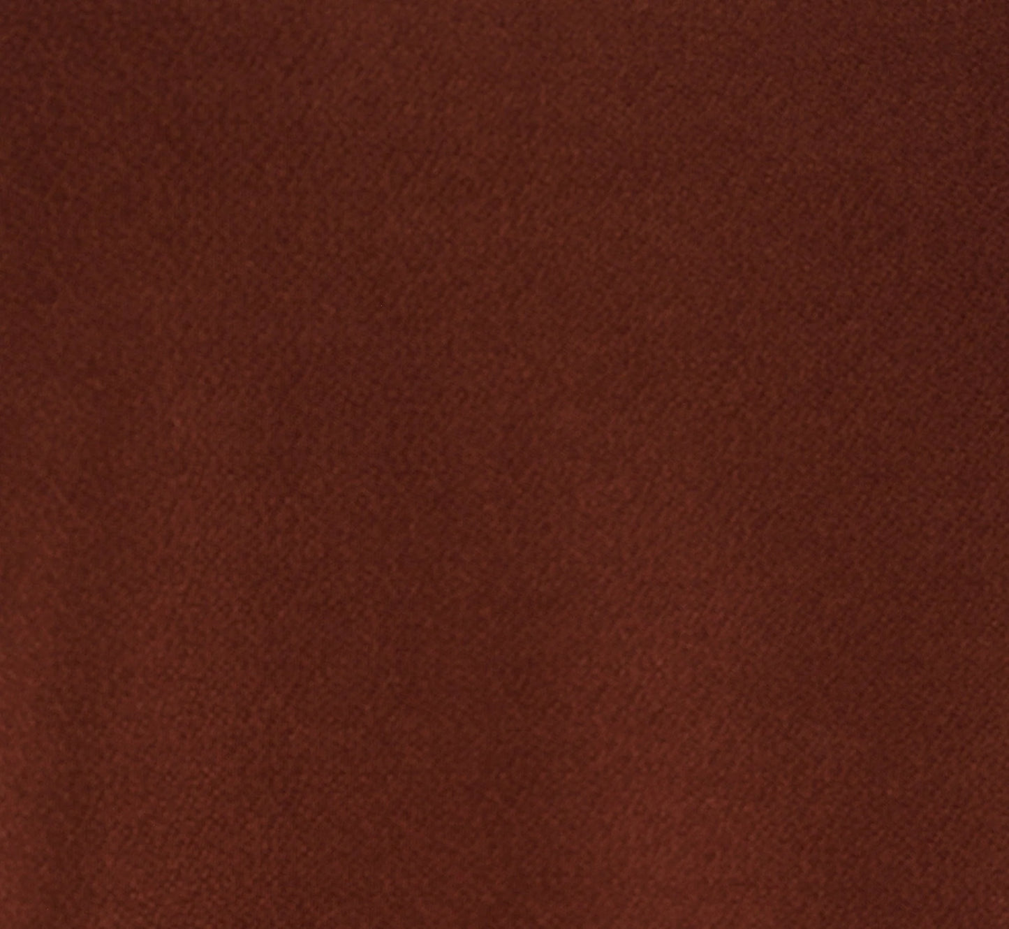 Flutter Sleeve Contrast Tipped Top In Shaved Chocolate Ecru