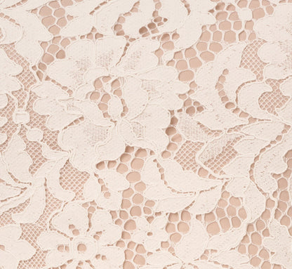 Cap Sleeve Lace Midi Dress In Ivory Nude